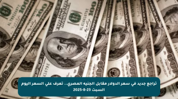 تراجع جديد في سعر الدولار مقابل الجنيه المصري.. تعرف على السعر اليوم السبت 23-8-2025